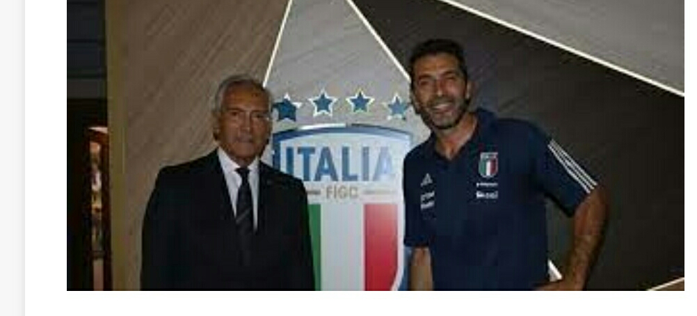 Buffon millidə