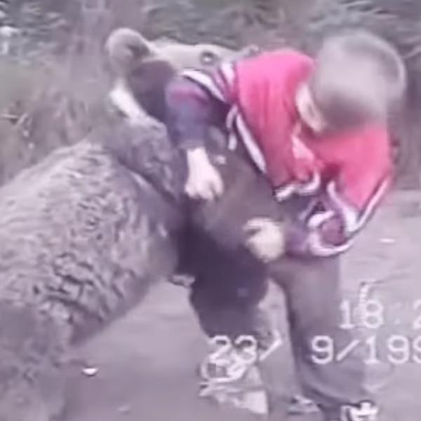 Həbib uşaq vaxtı ayı ilə  döyüşündən danışdı: Atama dedim ki, dişləyir, dedi ki....