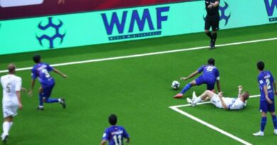 Bosniya və Herseqovina 1/4 finalda