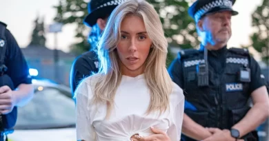 Qalmaqallı pornoaktrisa stadiona girmək üçün kamuflyaj oldu – FOTO/VİDEO