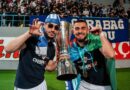 "Qarabağ"ın xüsusi çempionluq videosu da olacaq - Elvin açıqladı
