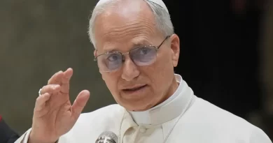 Prezident Roma Papası ilə görüşdü: Səbəb nədir?