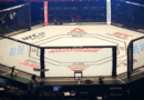 Bakıda UFC həyəcanı