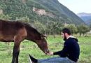 İslamı bu ölkədə qarət etdilər - FOTO
