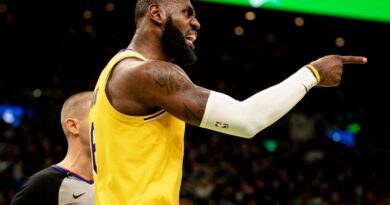 Lebron Ceymsin karyerası necə olacaq? - Hər şey onlardan asılıdır