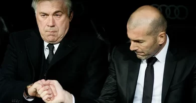 Zidan Ançelottini buna görə yaxşı məşqçi hesab edir
