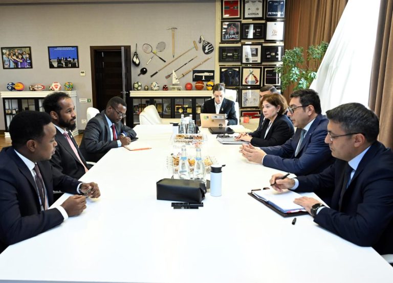 Nazir Somalidən olan həmkarı ilə görüşdü