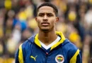 "Fənərbağça"nın futbolçusu İtaliya klubunun hədəfində