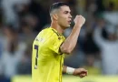 Ronaldo ona istehza edən azarkeşə belə cavab verdi - VİDEO