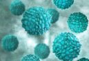 Olimpiada öncəsi xokkeyçilərin norovirus testi müsbət çıxdı: Bütün tədbirlər ləğv edildi