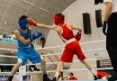 Azərbaycan çempionatının ilk günündə 41 döyüş