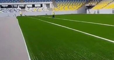 Gəncə stadionunda ot örtüyü salınır