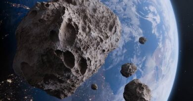 Bu asteroidə onun adı verildi