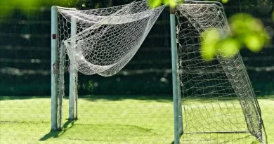 Futbol qapısı 17 yaşlı yeniyetmənin həyatına son qoydu